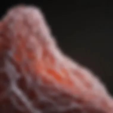 Recent Research Findings in SCLC Recent research findings in small cell lung cancer