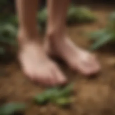 Prevalence of Alethes Foot in Different Species Illustration showcasing the prevalence of alethes foot across various species