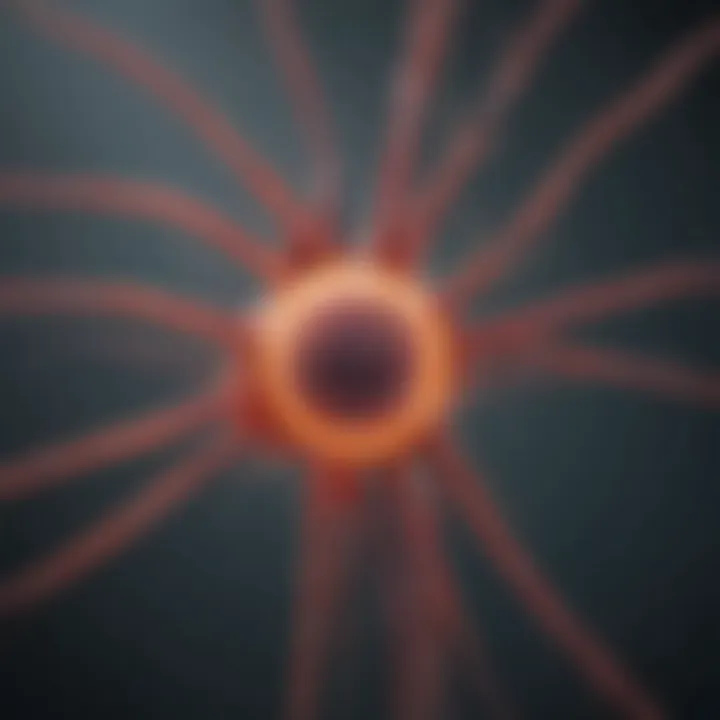 Diagram showing transmission routes of meningitis pathogens