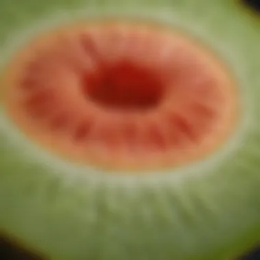 Close-up of bitter melon fruit showcasing its unique texture