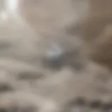 Raw clay ready for processing