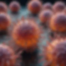 Chronic Lymphocytic Leukemia Cell Microscopy