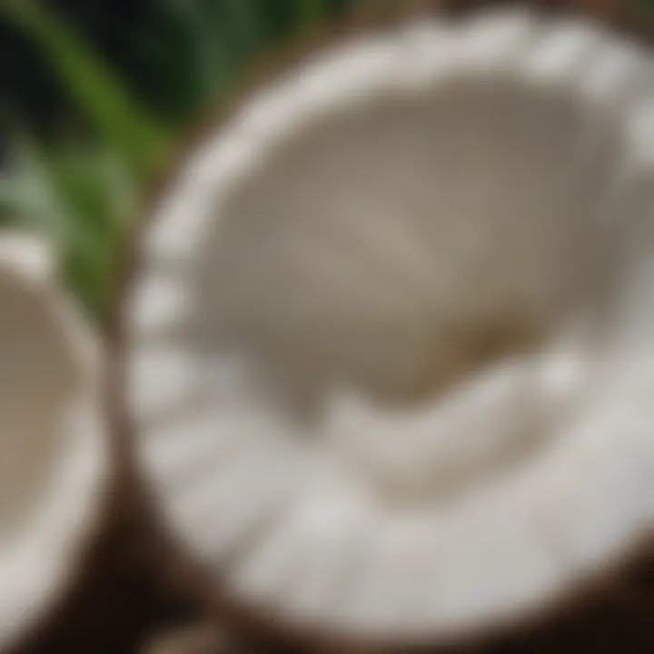 Nutritional profile of coconut water