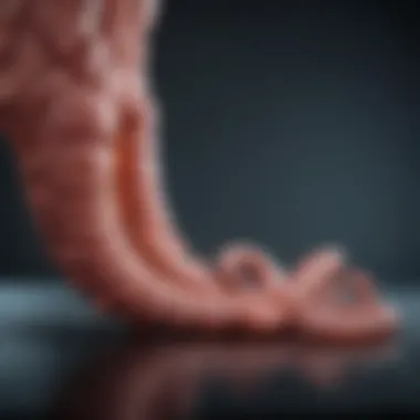 Treatment Options for Colon Cancer Infographic showing treatment options for colon cancer