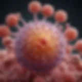 Viral structure of Herpes Simplex Virus Type 1