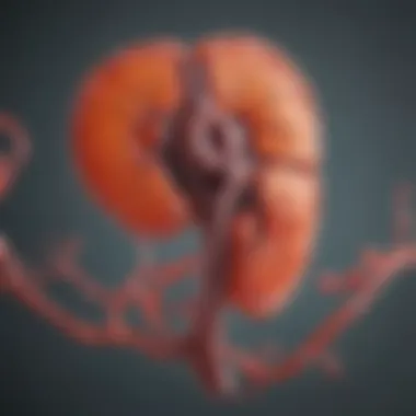 Infographic illustrating symptoms of nephritis