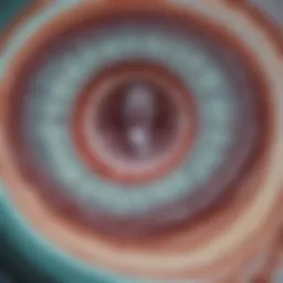 A CT scan showing a detailed cross-section of the abdomen highlighting potential ovarian masses.