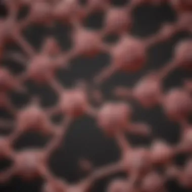 Flowchart depicting diagnostic approaches for antibody deficiency diseases