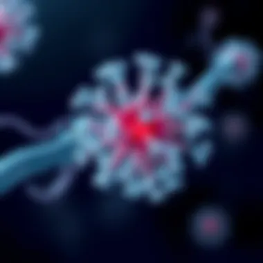 Combination therapies involving Elotuzumab