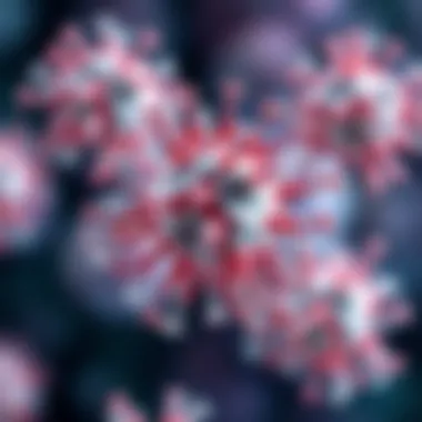 Understanding Elotuzumab's Mechanism of Action Mechanism of action of Elotuzumab