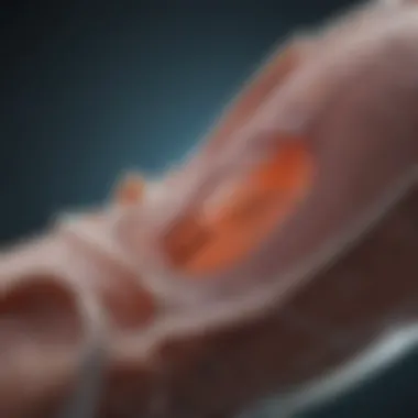 Emerging therapies for advanced prostate cancer affecting bones