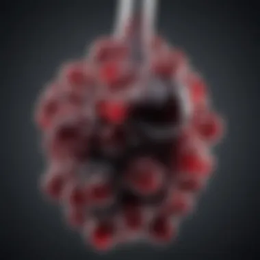 Understanding Resveratrol: The Key Compound in Red Wine Molecular structure of resveratrol