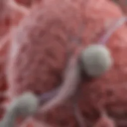 Illustration depicting the interaction of tumor growth with surrounding tissues