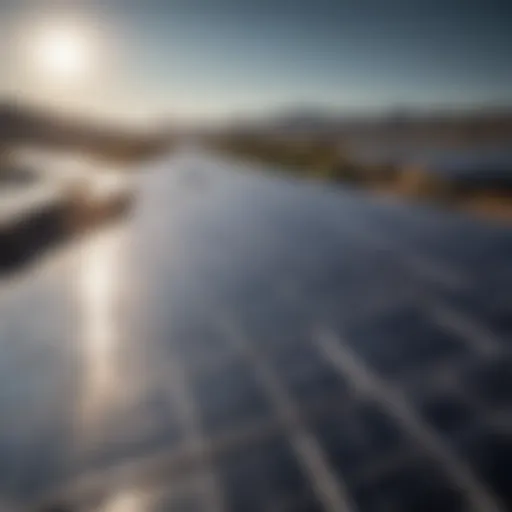 Solar panels harnessing sunlight for energy