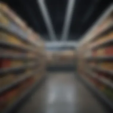 Challenges faced by grocery retailers illustrated creatively