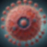 Detailed diagram showcasing the biological structure of the herpes virus.