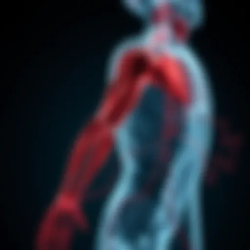 Graphical representation of muscle tone dynamics