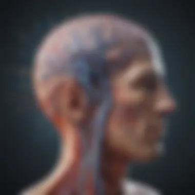 Neural Pathways and Medication Impact A brain with highlighted areas representing neural pathways affected by medication.