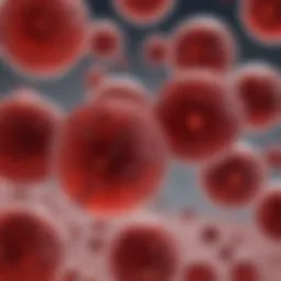 Microscopic examination of urine sample showing red blood cells