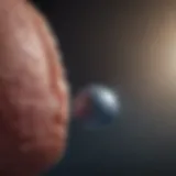 A conceptual representation of non-invasive screening techniques for prostate cancer