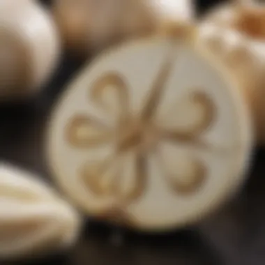 Close-up of sliced raw garlic revealing its internal structure