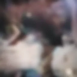 Diverse self-employment ventures showcasing innovation