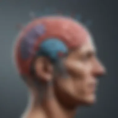 Understanding Neurotransmitter Roles Diagram illustrating the brain's neurotransmitters