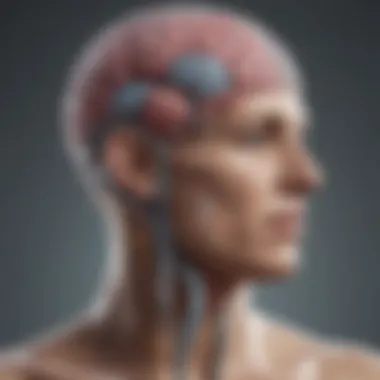 Thyroid Gland and Brain Activity A conceptual illustration of the thyroid gland and its hormonal influence on brain activity.