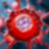 Illustration of cellular structure highlighting rejuvenation mechanisms