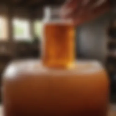 Kombucha in Fermentation A traditional fermentation crock filled with bubbling kombucha, highlighting the natural fermentation process.