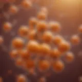 Vitamin C molecular structure
