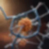 Visual representation of Abilify molecular structure