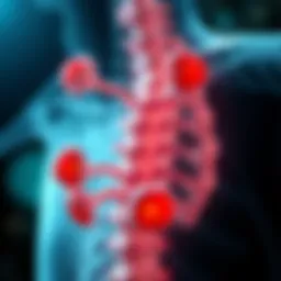 Illustration of vertebral tumor classification.