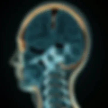 Diagnostic imaging of vertebral tumors.