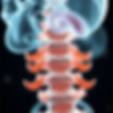 Treatment modalities for vertebral tumors.