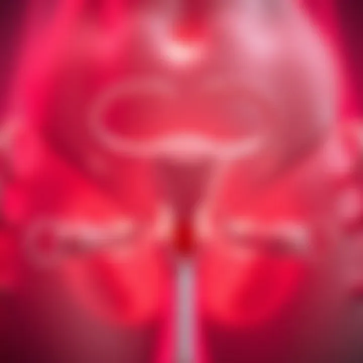 Understanding Urinary Incontinence Visual representation of urinary incontinence issues