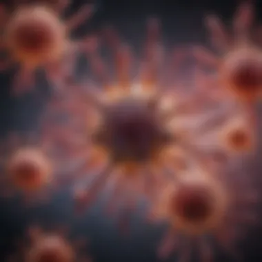 Visual representation of the immune system's response in antibody deficiency