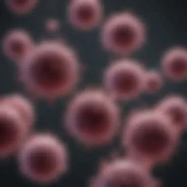 B Cells and Their Antibody Production Role Diagram showcasing the role of B cells in antibody production