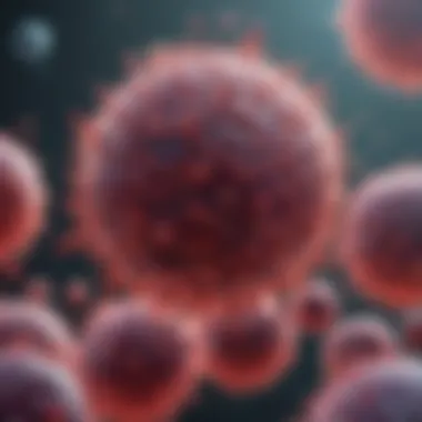 Interaction of Immune Cells Infographic illustrating the interaction of different immune cells