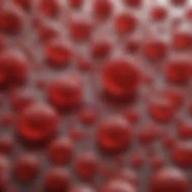 Impact of Hemolytic Anemia on Red Blood Cells Erythrocytes affected by hemolytic anemia