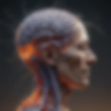 Mindfulness and Neural Pathways Visualization of the brain's neural pathways during mindfulness