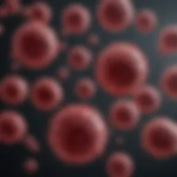 Diagram illustrating the stages of multiple myeloma development