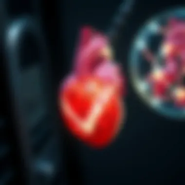 Visualization of potential complications during PCI procedures