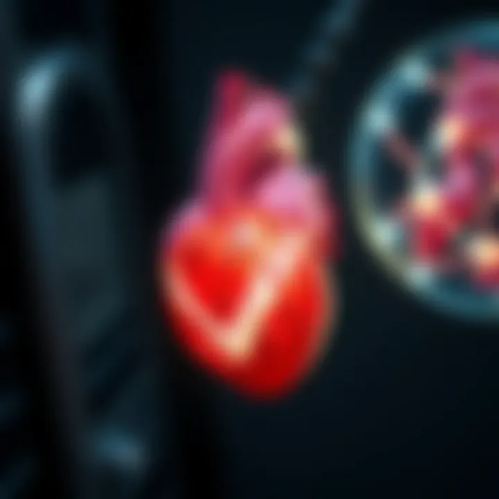 Visualization of potential complications during PCI procedures
