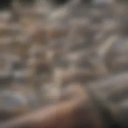 Illustration of personalized nutrition plan elements