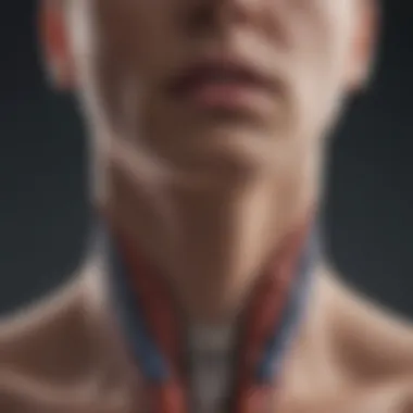 Understanding Thyroid Function Visual representation of the thyroid gland and its functions.