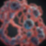 Molecular structure of silicol gel