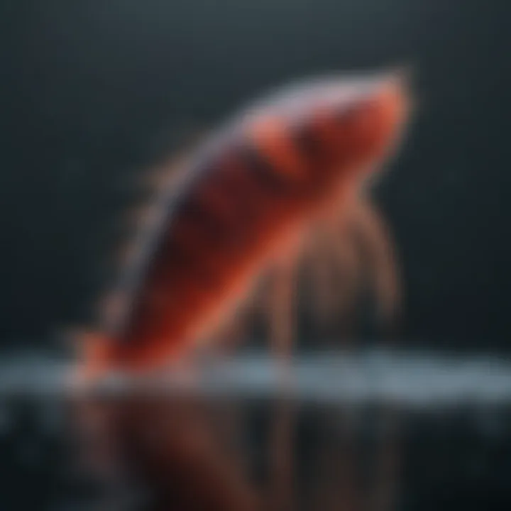 Potential Risks of Krill Oil