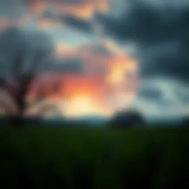 Emotional landscape depicting the fluctuations of mood in Type 2 bipolar disorder