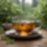 A serene tea garden showcasing an array of tea leaves